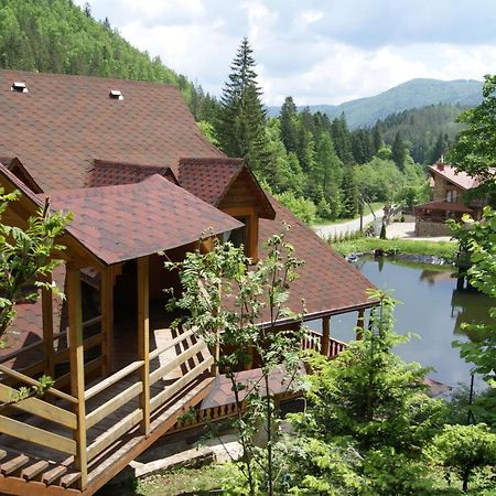 Hotel Dykyi Med Татарів Екстер'єр фото