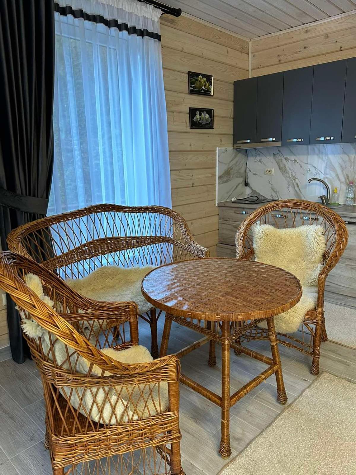 Hotel Dykyi Med Татарів Екстер'єр фото