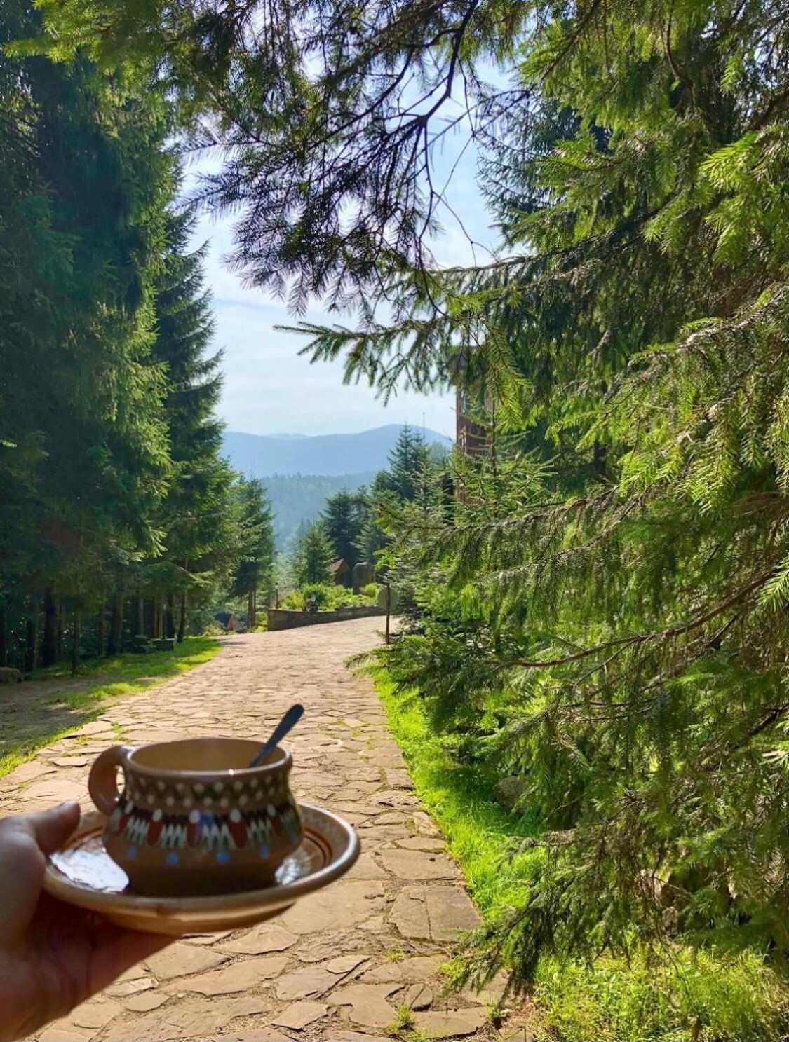 Hotel Dykyi Med Татарів Екстер'єр фото